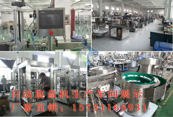 抓蓋式自動(dòng)旋蓋機(jī)