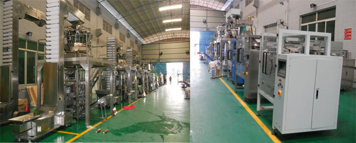 220D組合稱量自動食品包裝機